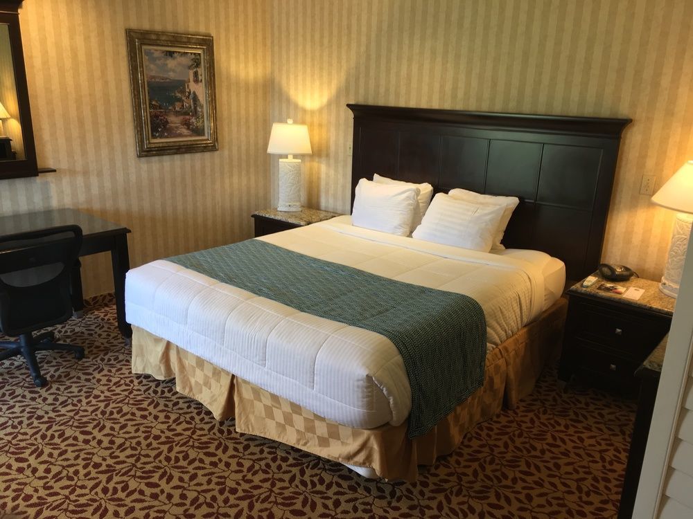 ลากูนา บริซัส - อะ บีช โฮเต็ล Hotel ลากูนาบีช ภายนอก รูปภาพ